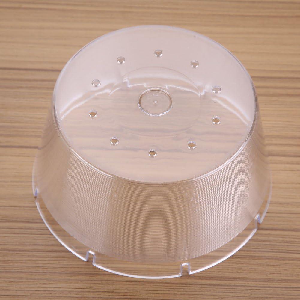 Our Review: ‍Pilipane's 4L Beehive Feeder Keeps Bees ⁣buzzing