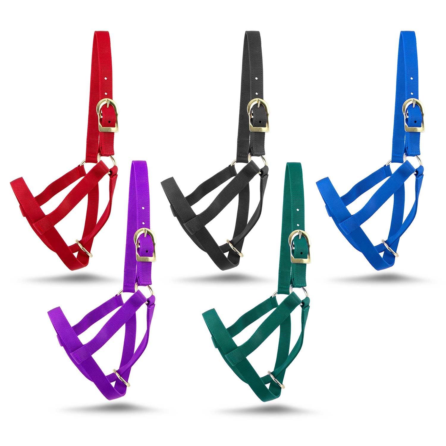 Our Review: Jeffers Premium ‌Nylon Calf‌ Halter ‍- Farm Tested!