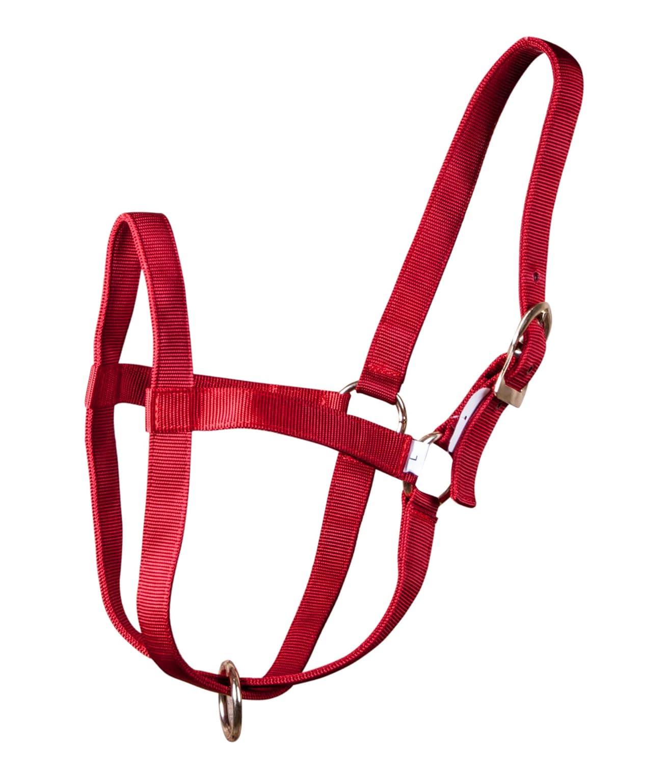 Our Review: Jeffers Premium Nylon Calf Halter - Farm Tested!