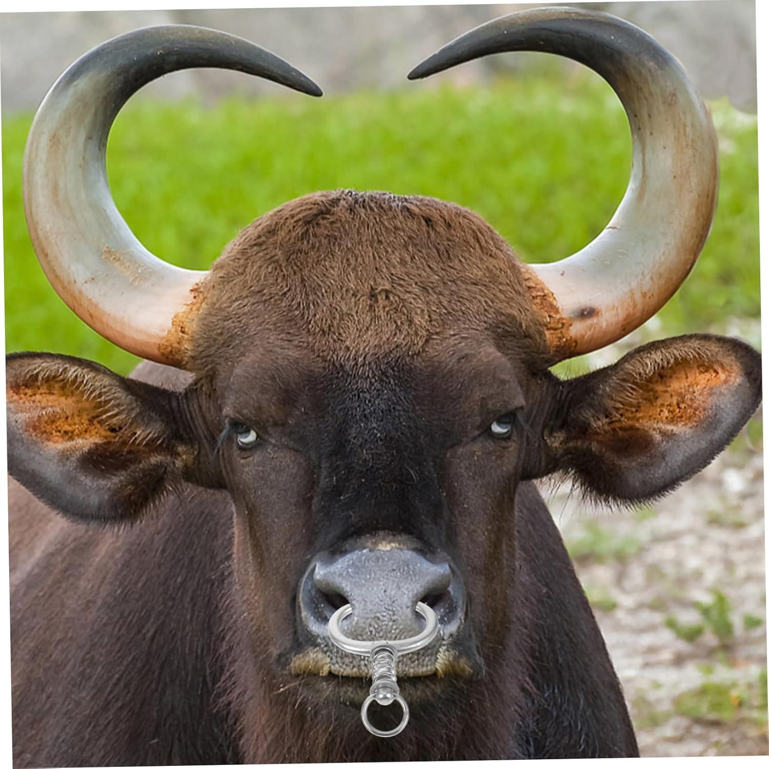 Our Review: Kisangel Cattle Nose Rings for ⁢effective Livestock management

ChatGPT: We Test ​the Kisangel Cattle nose​ Rings: Durable Farm Control