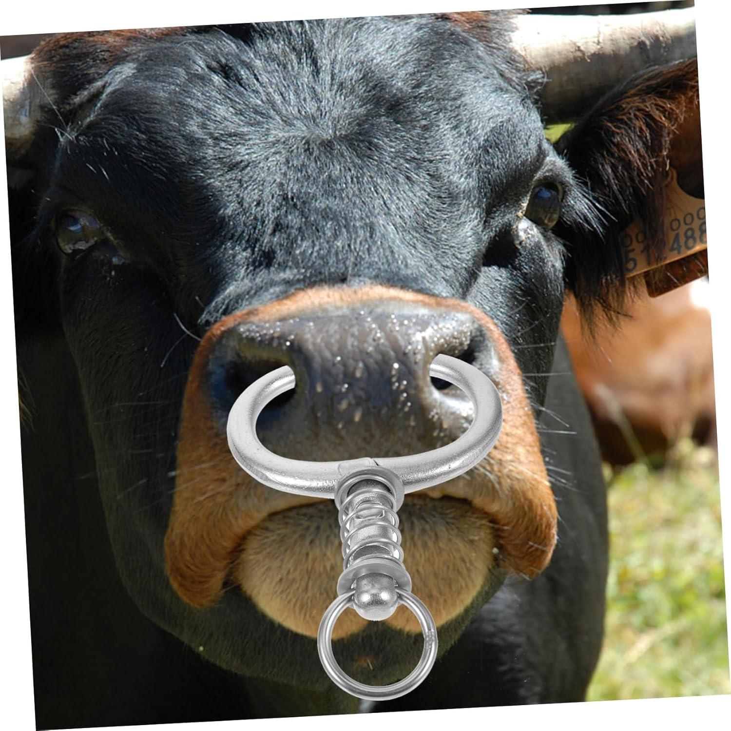 Our Review: Kisangel Cattle Nose Rings for Effective Livestock Management

ChatGPT: We Test the Kisangel Cattle Nose Rings: Durable Farm Control