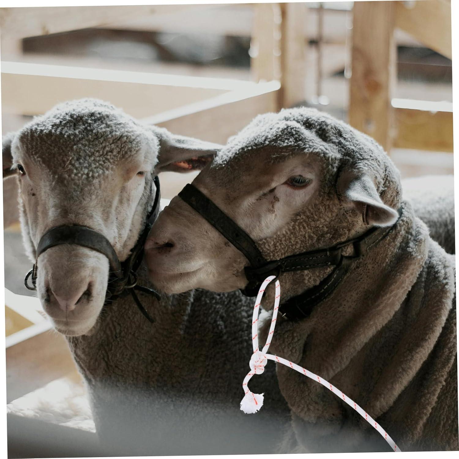 Our Review: Balacoo's Heavy-Duty Livestock Halter Rope