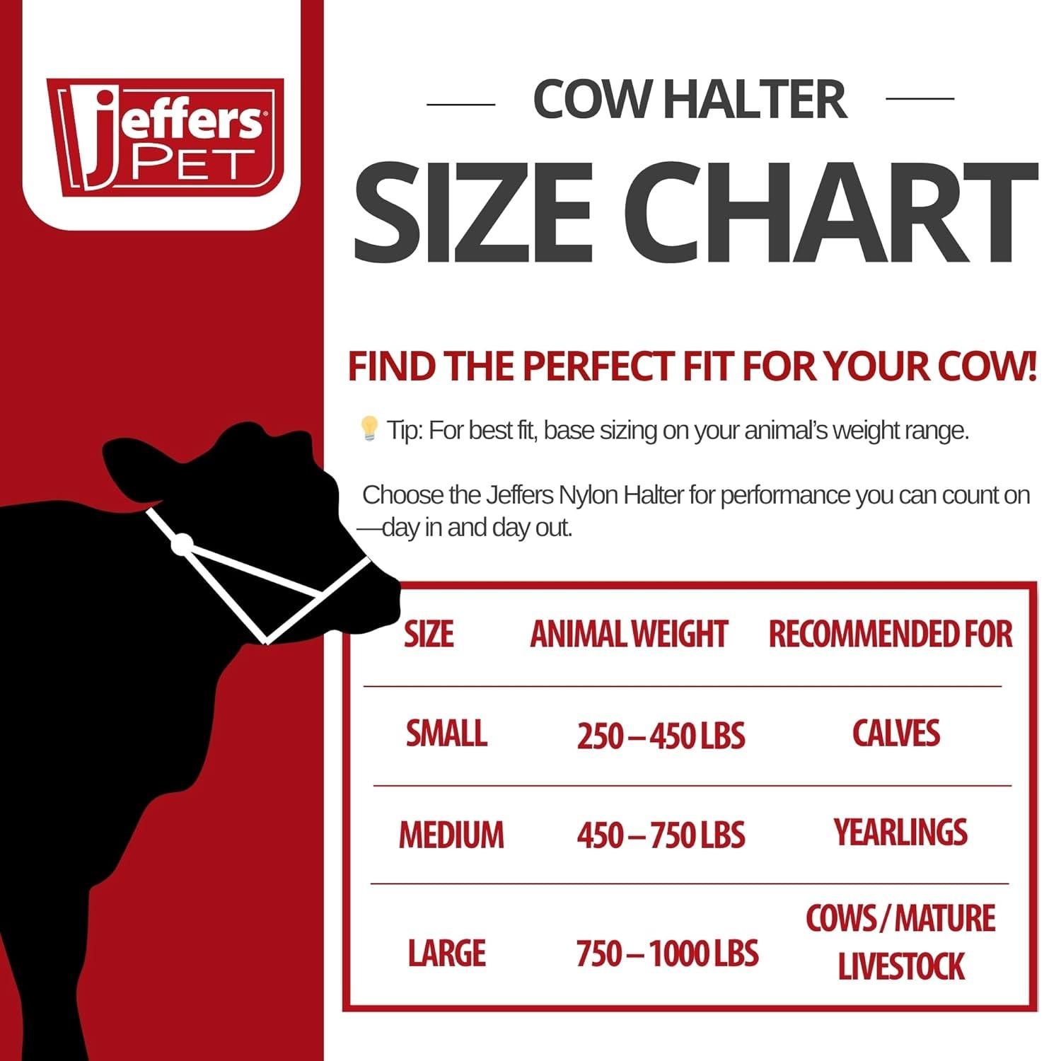 Our Review: Jeffers Premium Nylon Calf Halter - Farm Tested!