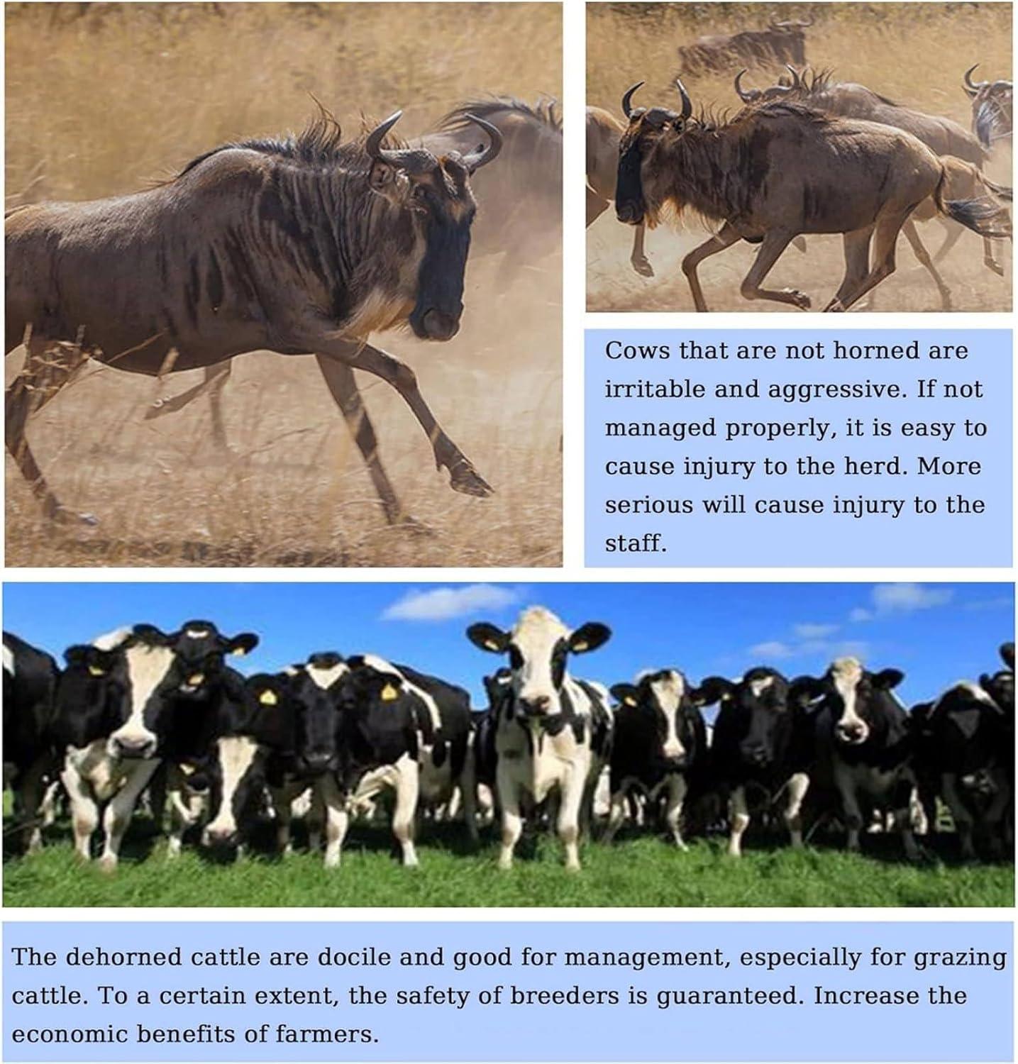 Our Review of the Electric Cattle Sheep ‌Dehorner: A Farm Essential