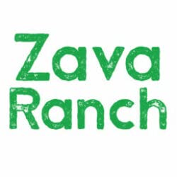 Zava Ranch Organic Tangerines: Freshness from Farm to Table - Image 7