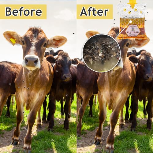 Effective Outdoor Fly Trap Review: Big Fly Bags for Farms - Image 6