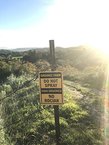 Zava Ranch Organic Tangerines: Freshness from Farm to Table - Image 4