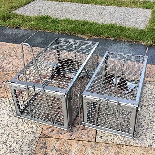 Effective & Safe: Kensizer Humane Rat Trap Review - Image 7