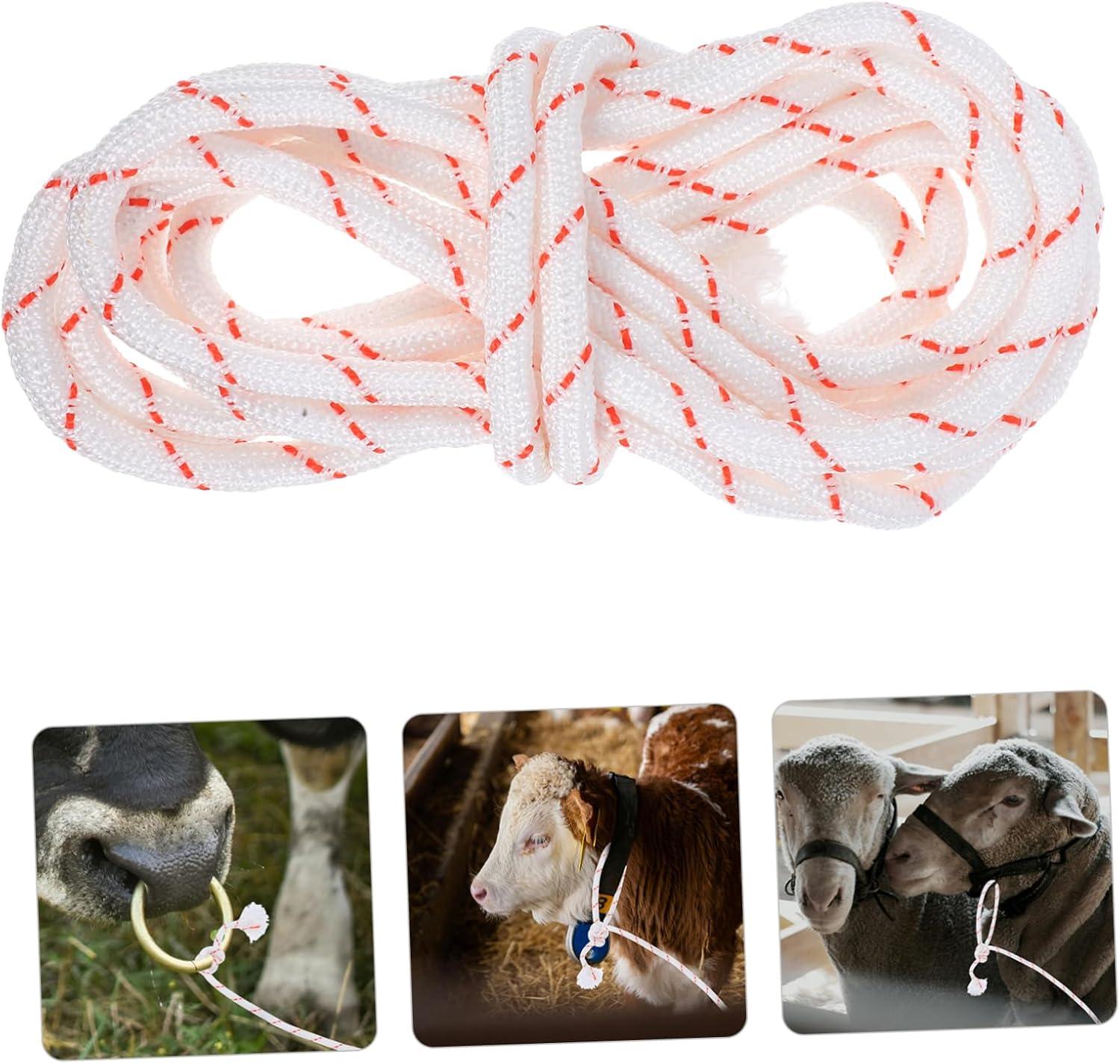 We review ⁣VICASKY's ⁤Robust Cattle Halter: Farm Control Made ⁤Easy