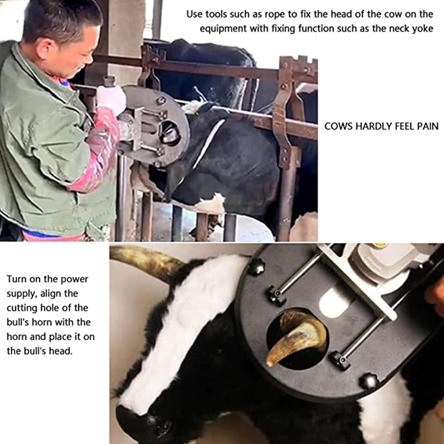 We Review the 1900W Electric Dehorner: Safe ​& ‍Efficient Ranch Tool