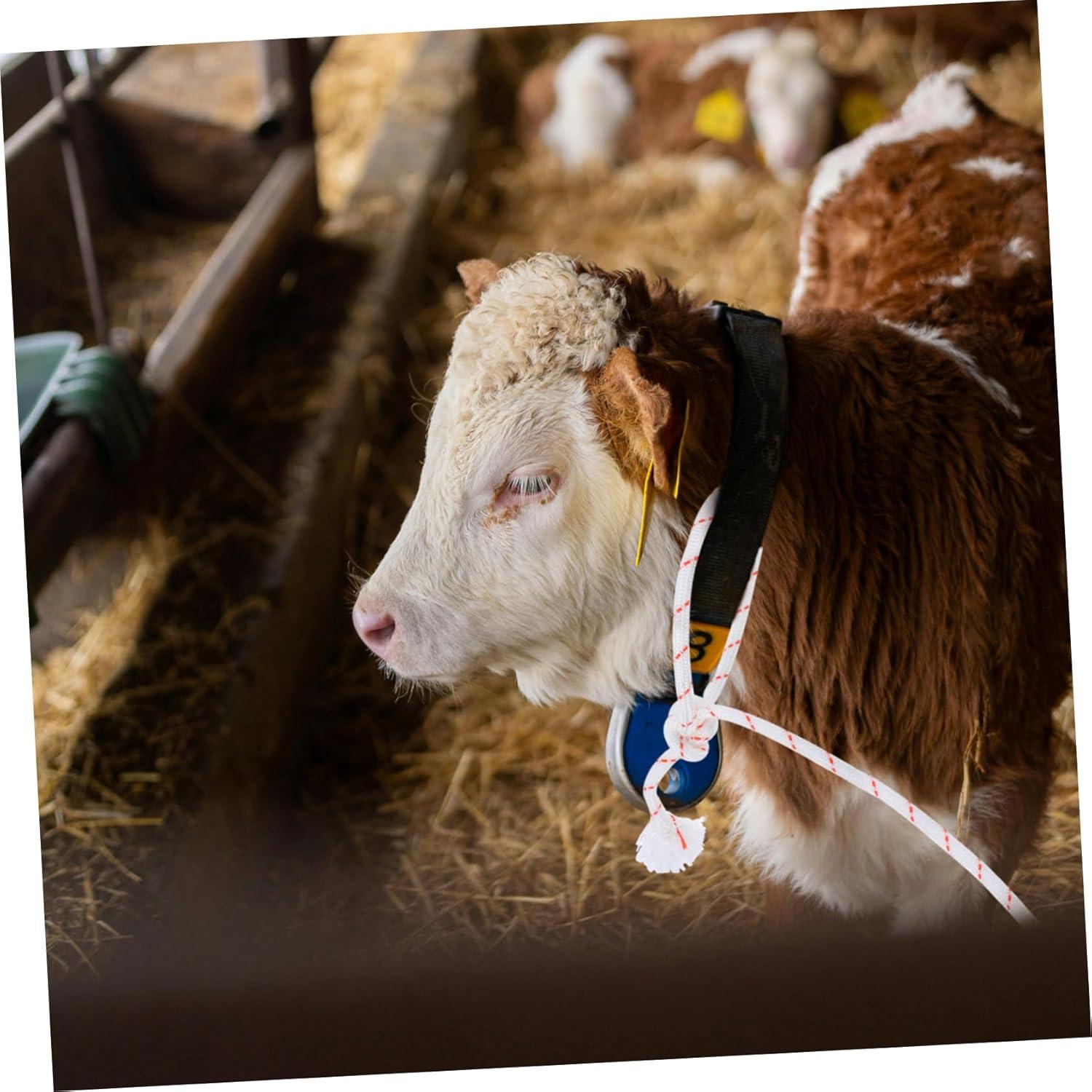 Our Review of​ the Cow Halter Rope: A Livestock ⁤Handler's Best Friend