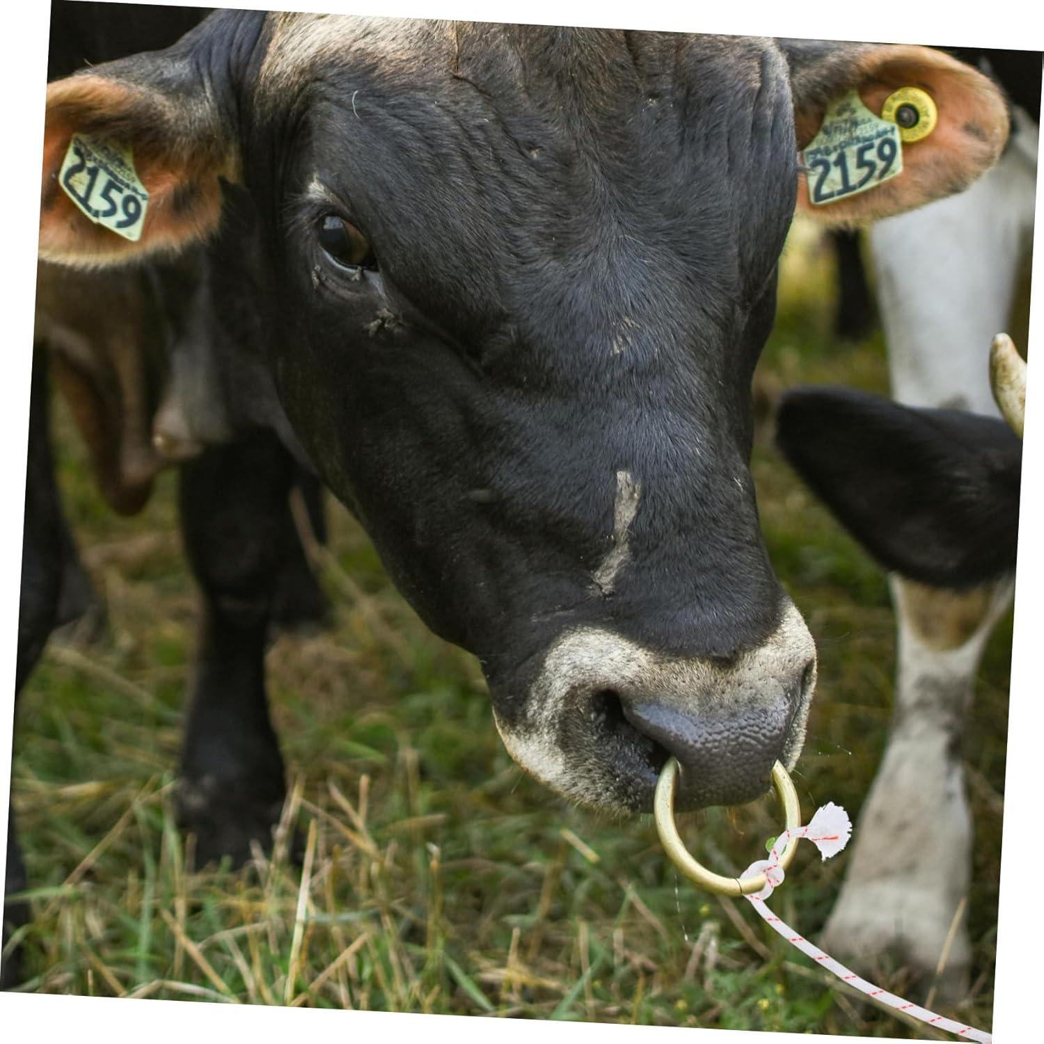 Our Review of the Cow Halter rope:⁢ A Livestock Handler's Best Friend