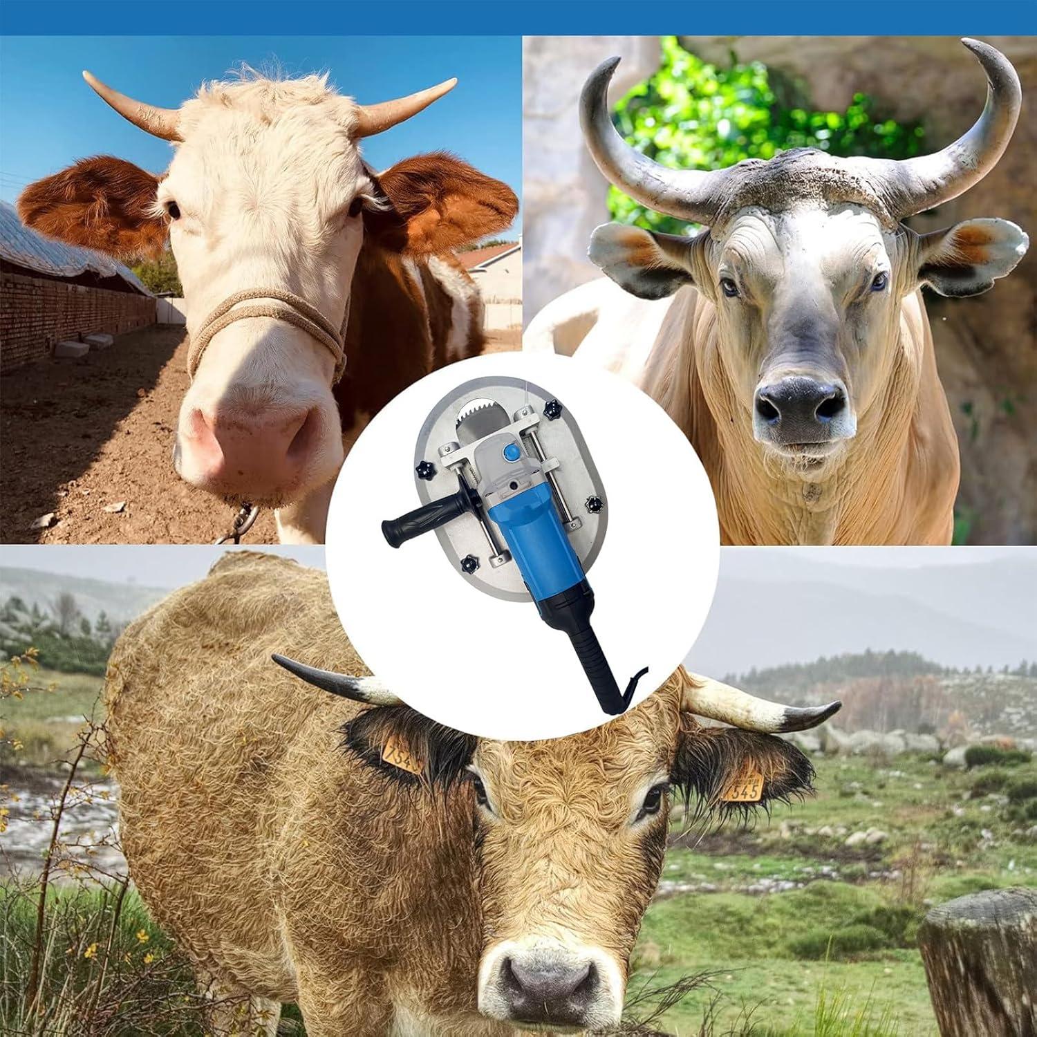 Our Review: Beachtiful's 1700W Electric Cattle Dehorner