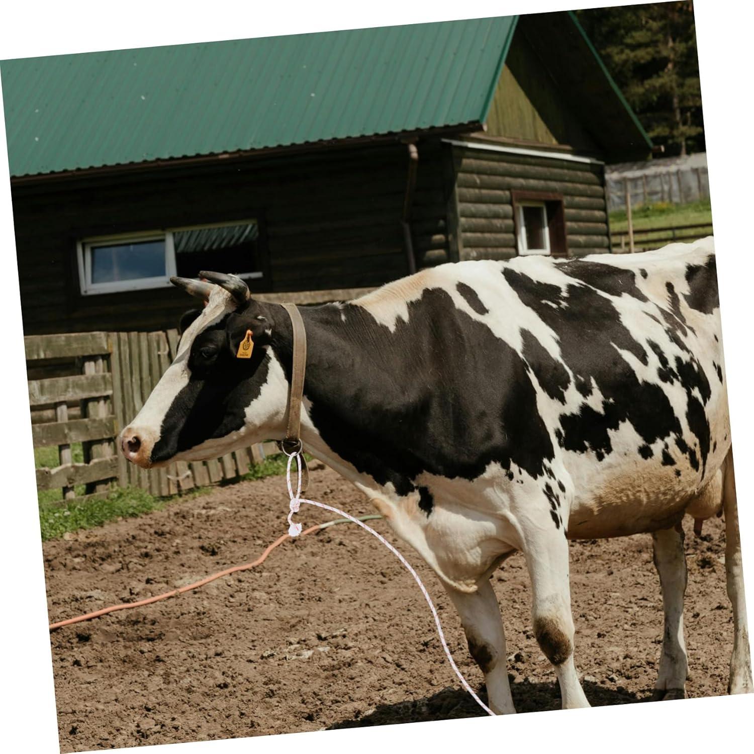 Our Review of‌ the Cow ⁣Halter Rope: A ​Livestock Handler's Best friend