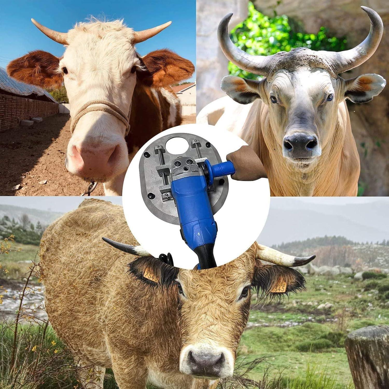 We Review: The 1900W Electric Dehorner for humane Cattle Management