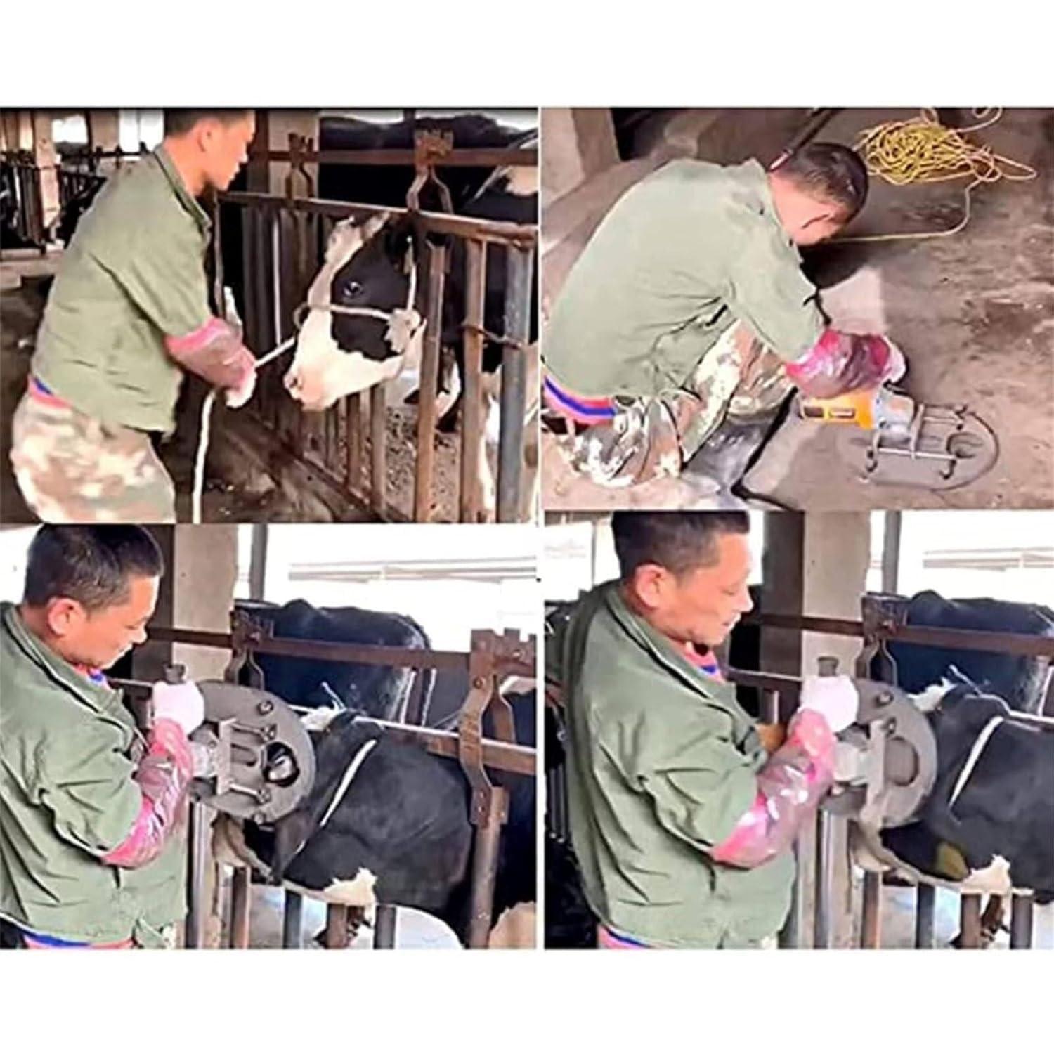 our Review: The 1700W Electric Dehorner For Safer Livestock Management