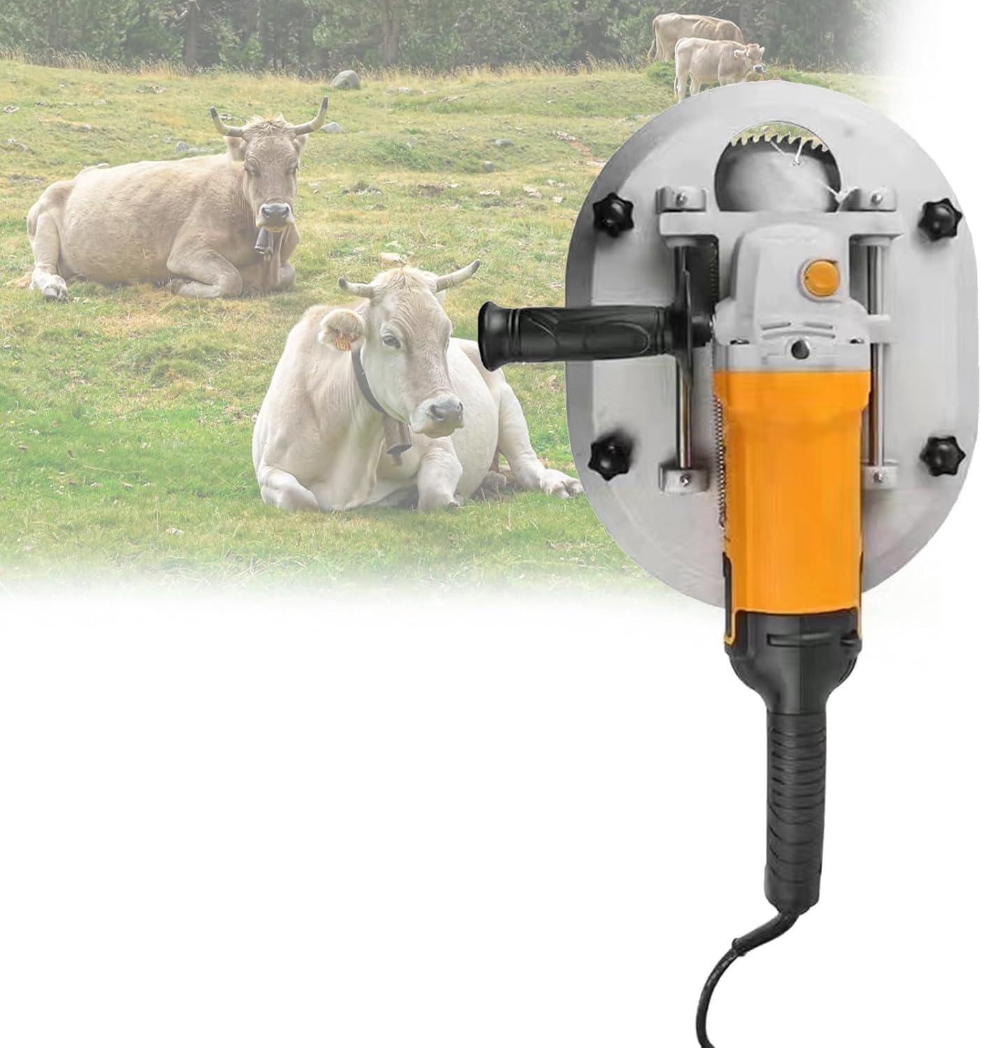Painless Cattle Dehorning:​ Our Review of the Electric ​Solution