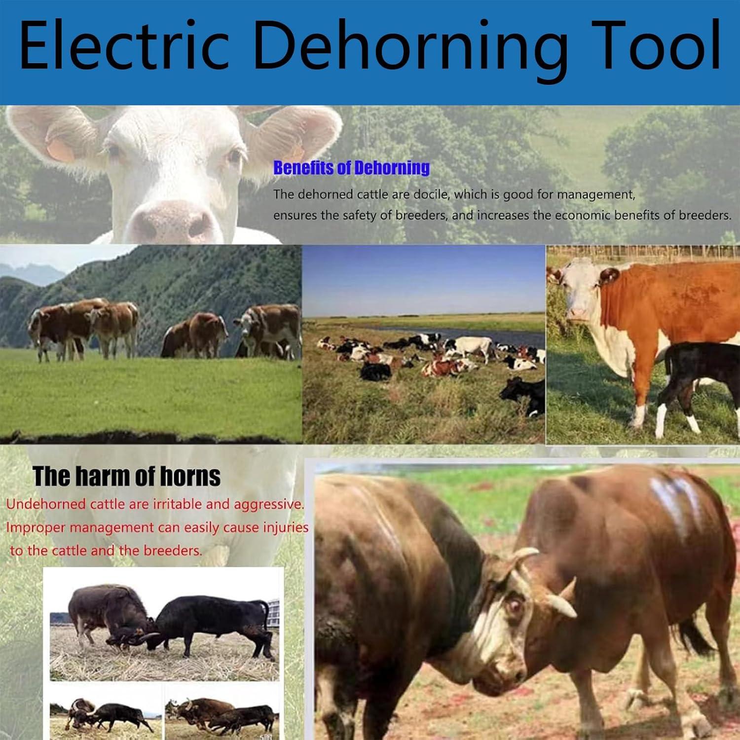 We Review: The Beachtiful ⁤Electric Cattle⁢ Dehorner - Your Humane Solution for Livestock Management