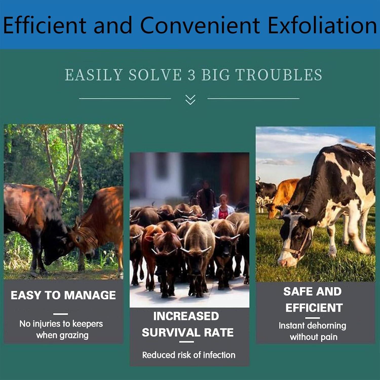 Our⁣ Review: Beachtiful's 1700W electric Cattle dehorner