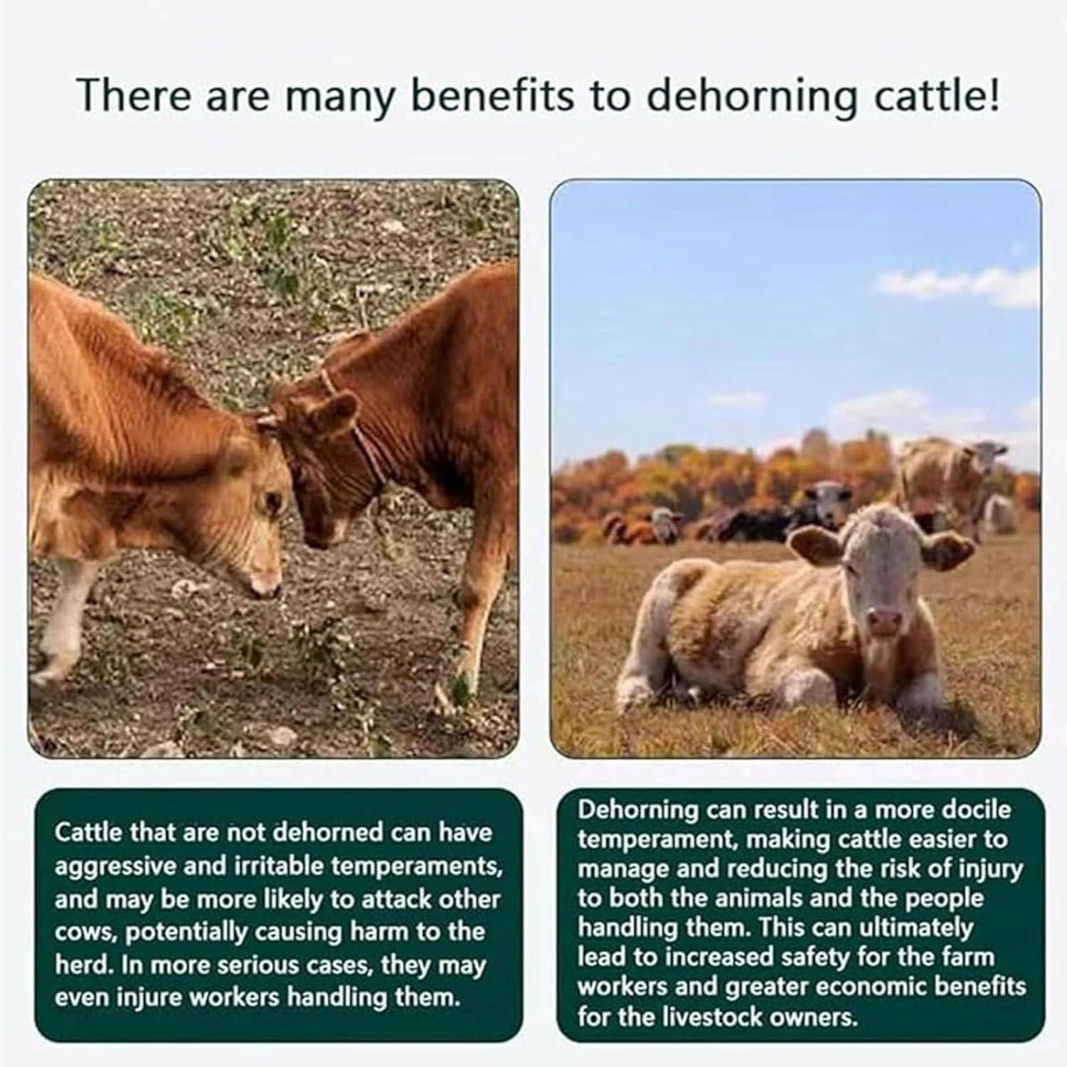 our review:⁣ The Ultimate Electric Dehorner for Livestock