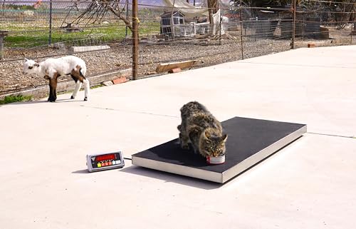 Precision Weighing: PEC Livestock Scale Review for Farmers - Image 7