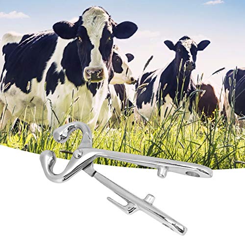Unlocking Efficiency: A Review of Cow Nose Pliers for Ranchers - Image 3