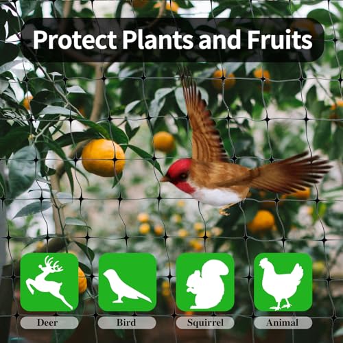 Protect Your Garden: Vocray Heavy Duty Bird Netting Review - Image 4