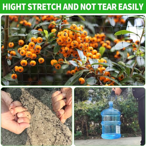Protect Your Garden: Vocray Heavy Duty Bird Netting Review - Image 2