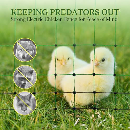 Secure Your Poultry: ANDMON Electric Netting Review - Image 6