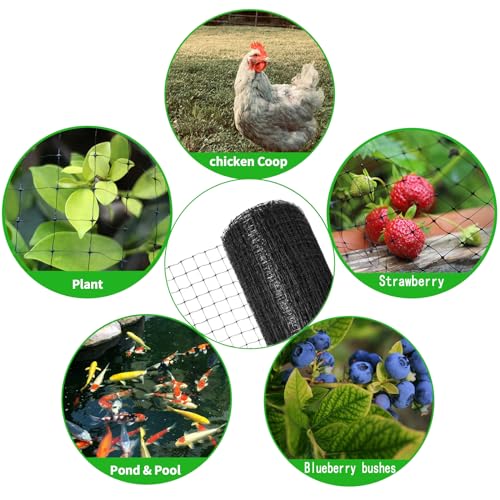 Protect Your Garden: Vocray Heavy Duty Bird Netting Review - Image 8