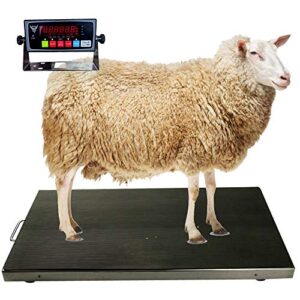 Precision Weighing: PEC Livestock Scale Review for Farmers
