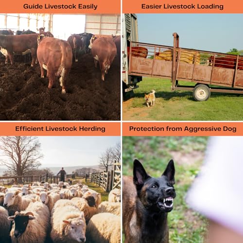 Ultimate Review: Rechargeable Cattle Prod for Effective Herding - Image 4
