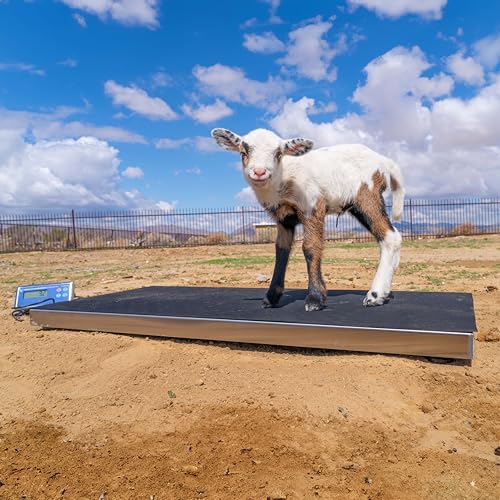 Precision Weighing: PEC Livestock Scale Review for Farmers - Image 5