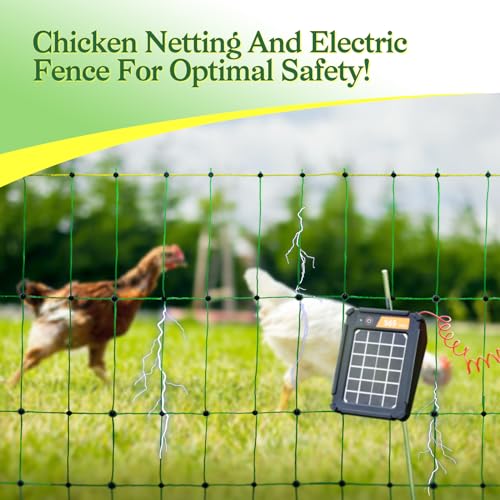 Secure Your Poultry: ANDMON Electric Netting Review - Image 5