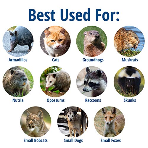 Efficiently Trap with Havahart 1045SR: A Comprehensive Review - Image 2