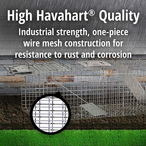 Efficiently Trap with Havahart 1045SR: A Comprehensive Review - Image 9