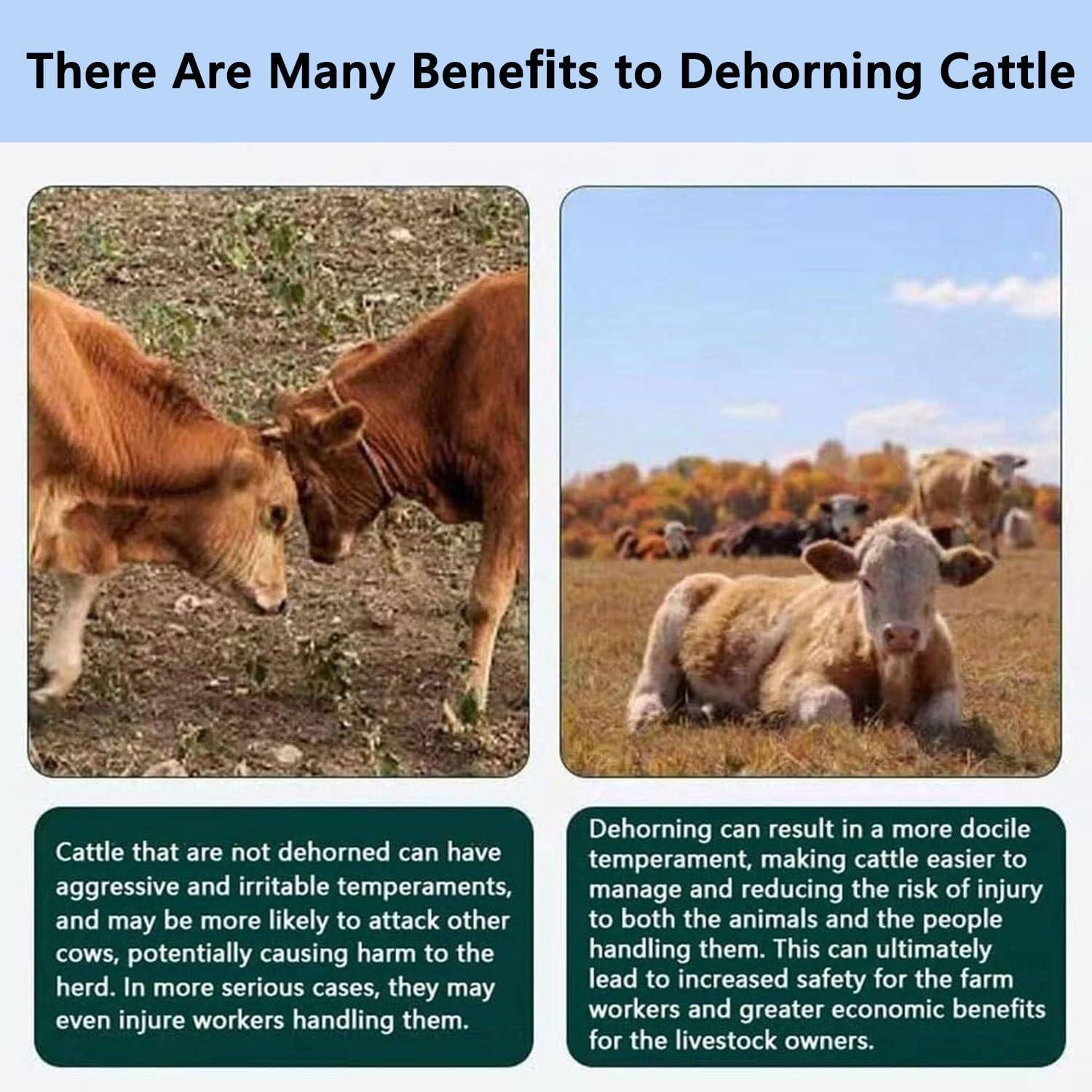 Reviewing the Painless Electric Dehorner: A Ranch Must-Have