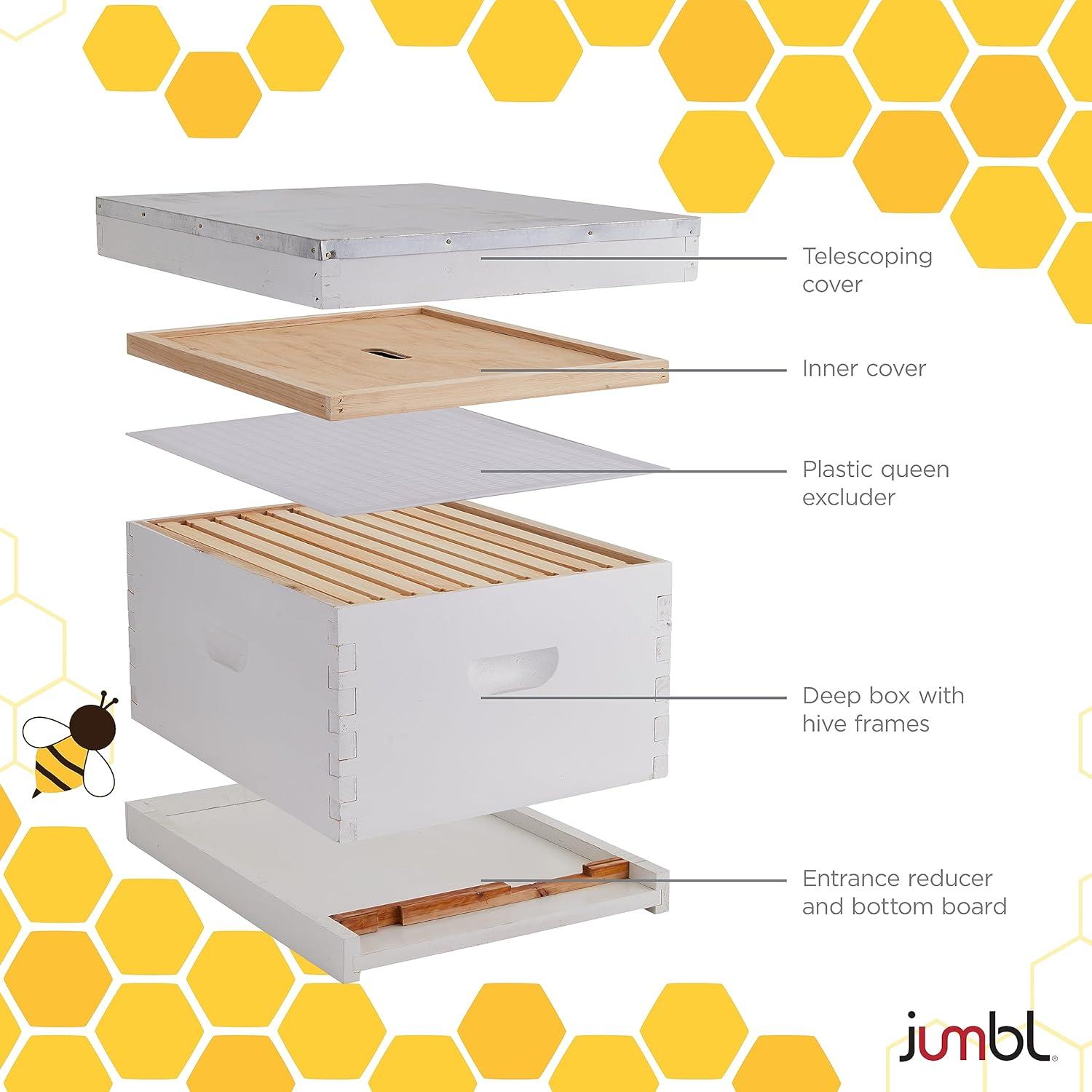 Our Sweet Review: Jumbl's Complete Beekeeping Kit ​Examined