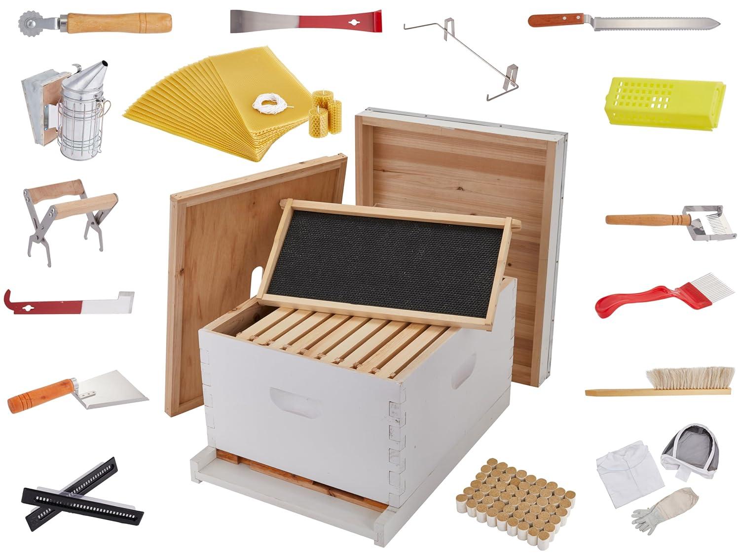Our Sweet Review: Jumbl's Complete Beekeeping Kit Examined