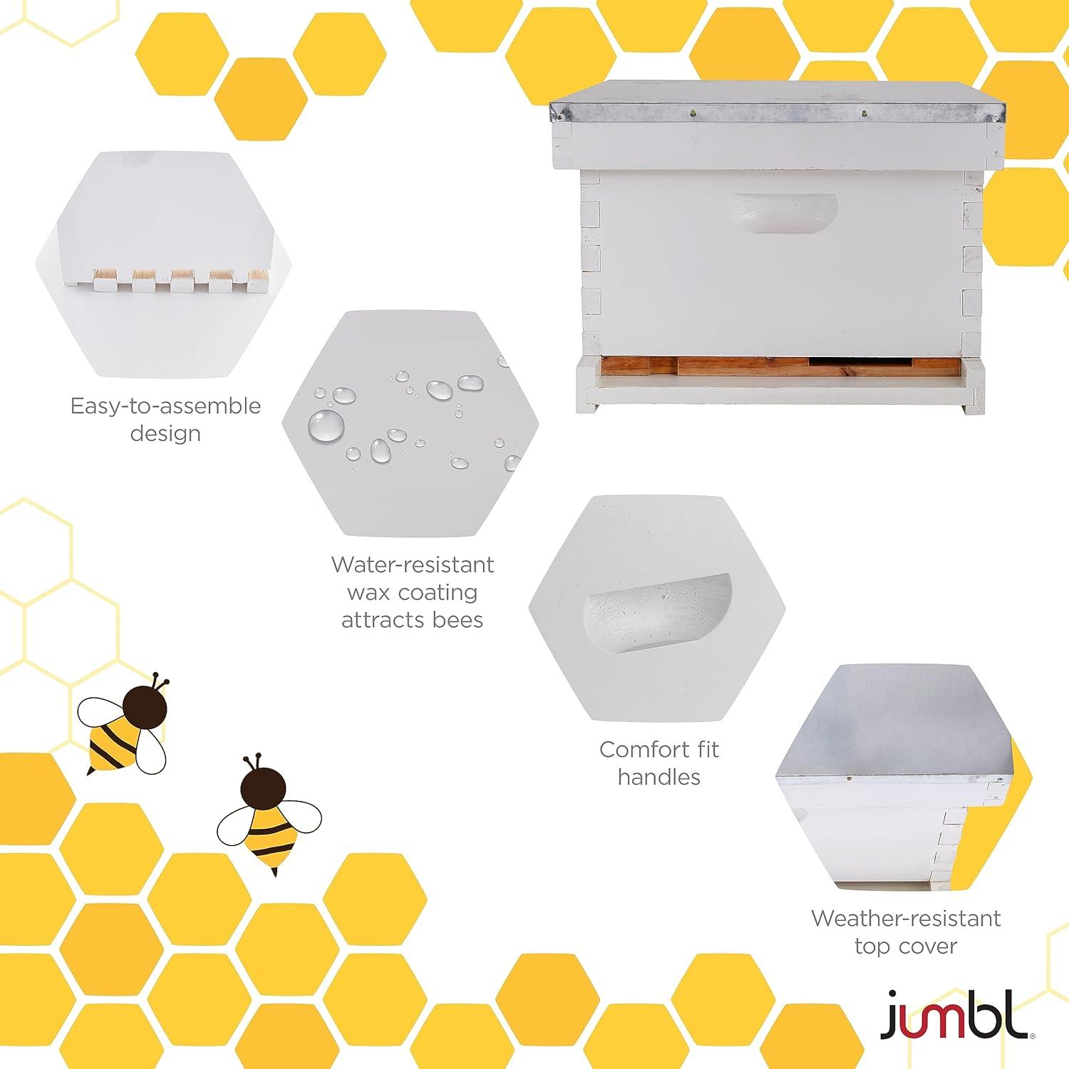 Our Sweet Review: Jumbl's Complete Beekeeping Kit examined