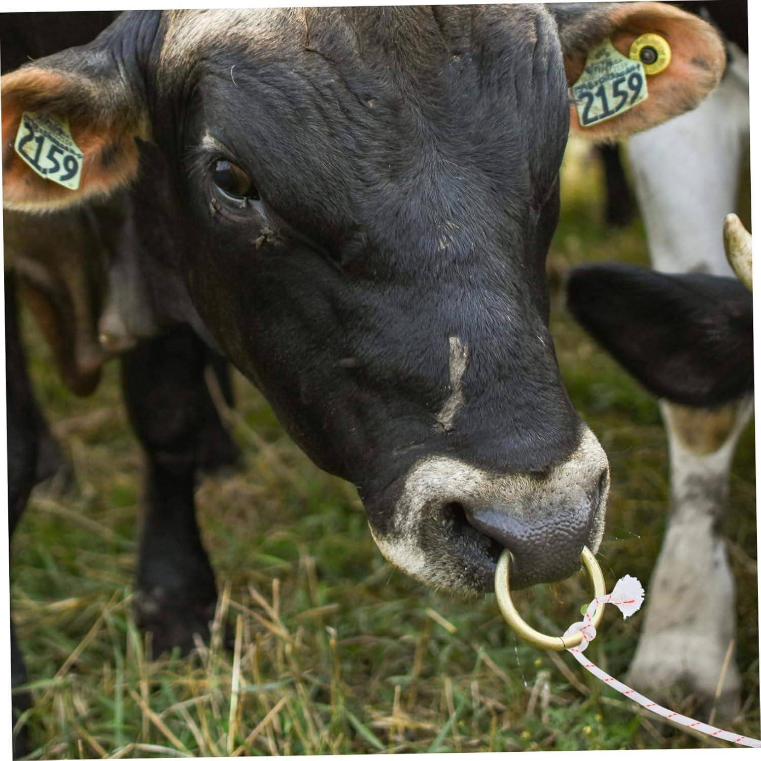 Our farm-Tested Review: GANAZONO Thickened Cow Rope