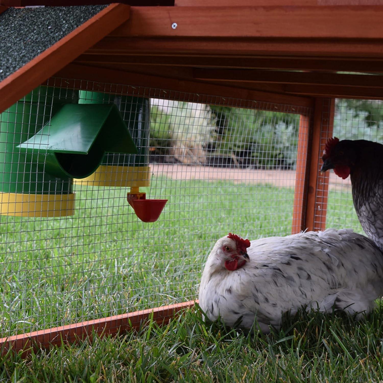 Elevating Coop Comfort: Our review of Rugged Ranch's Hen Feeding System