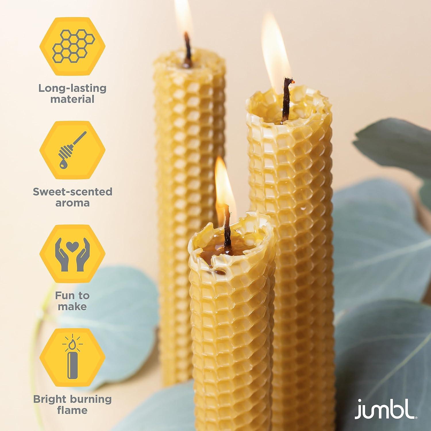 Our Sweet Review: Jumbl's complete Beekeeping Kit Examined