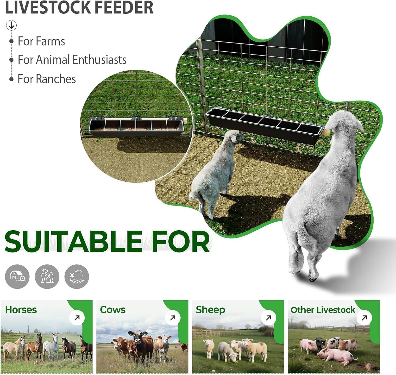 Our Review: 2.5 Gallon Divided Goat Feeder for Efficient Farm Management