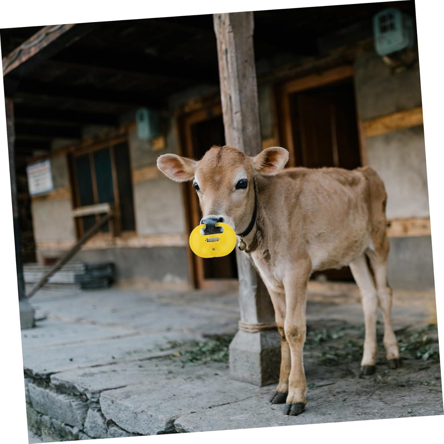 Our Hands-On Review of the Cattle Nose Ring set for Ranchers