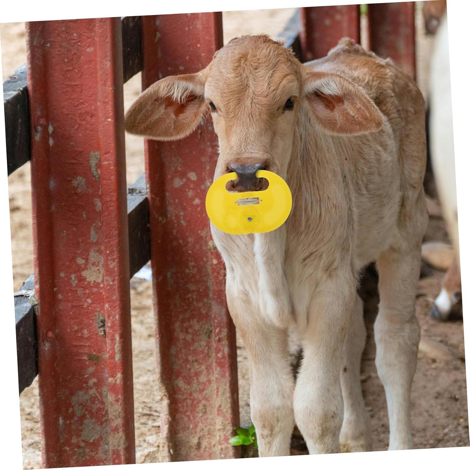 Our Hands-On Review of the Cattle Nose Ring Set for Ranchers