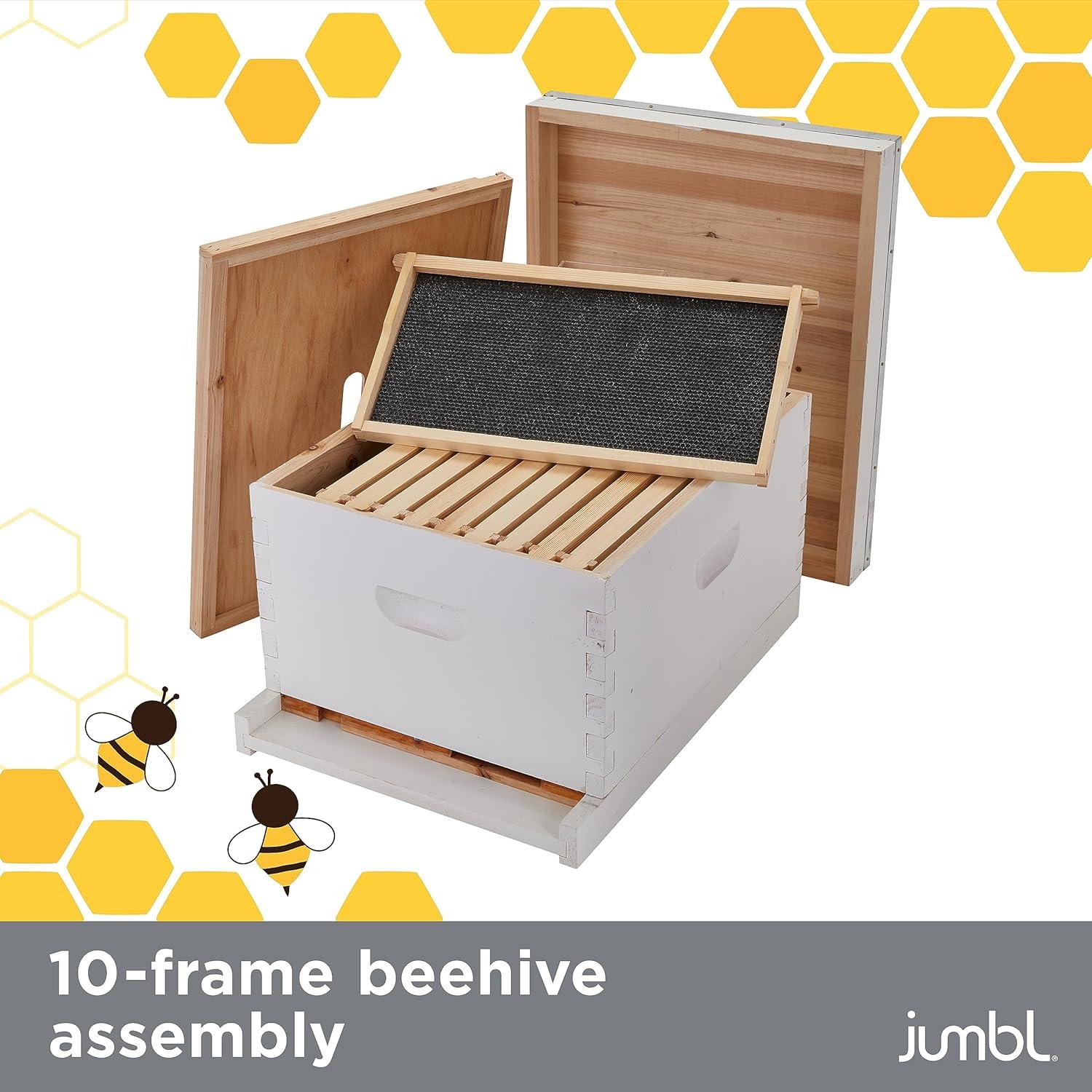 Our Sweet Review: Jumbl's Complete Beekeeping Kit Examined