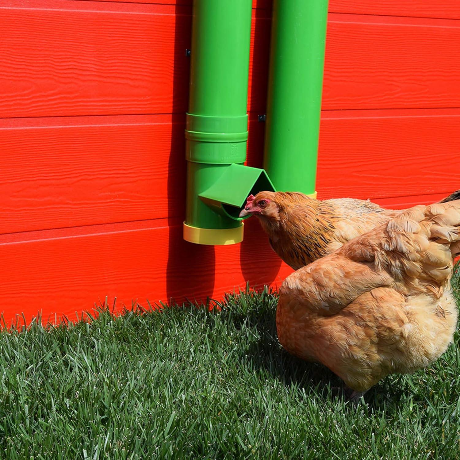 Elevating Coop Comfort: Our Review of Rugged Ranch's Hen Feeding System