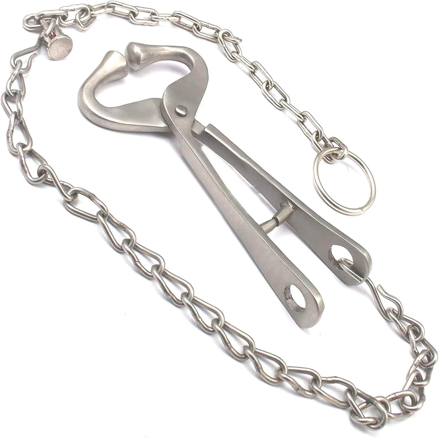 Our Review: AAProTools Bull Nose Lead for Show Cattle