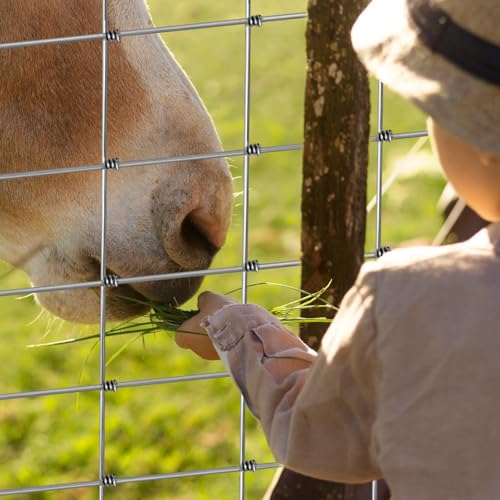 Robust 12 Gauge Cattle Panels: Ideal for Farming and Gardens - Image 7